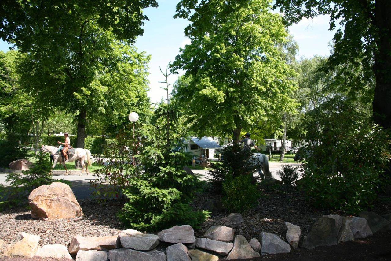 Mobil Homes Xxl2 4 Chambres - Camping Le Ranch Des Volcans シャテルギュイヨン エクステリア 写真